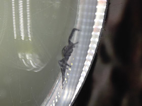 Смотреть фото Cамый большой угол зрения Фото Cамый большой угол зрения