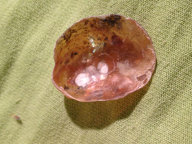 Смотреть фото Аномии Фото Аномии