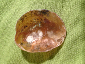 Смотреть фото Аномии Фото Аномии