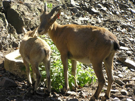 Смотреть фото Западнокавказский тур Фото Западнокавказский тур