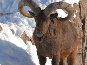 Фото Дагестанский тур