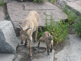 Фото Дагестанский тур