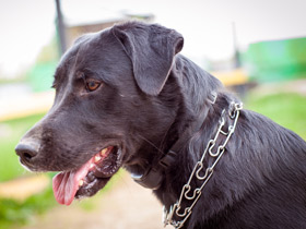 Фото Загадки для детей с ответами