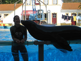 Фото Калифорнийский морской лев