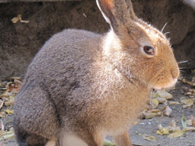 Смотреть фото Cамый большой угол зрения Фото Cамый большой угол зрения