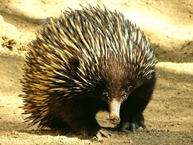 Смотреть фото «Мама, возьми меня на ручки!» Фото «Мама, возьми меня на ручки!»
