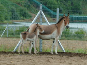 Смотреть фото Кианг Фото Кианг