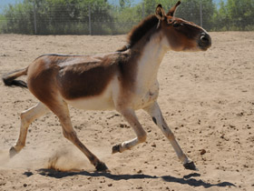 Смотреть фото Кианг Фото Кианг