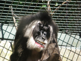 Смотреть фото Дрил Фото Дрил