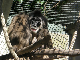 Смотреть фото Дрил Фото Дрил