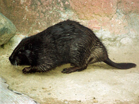 Фото Загадки для детей с ответами