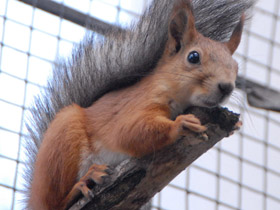 Фото 10 интересных фактов о белках