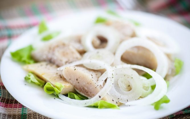 Что может отбить нюх у собаки