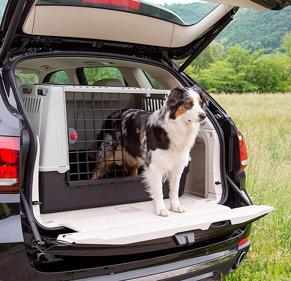 Перевозка собак в машине правила и приспособления