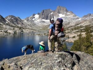 С собакой в поход
