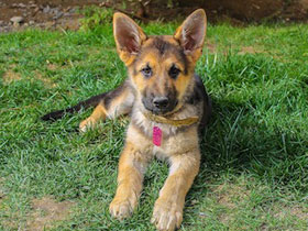 Фото Маленький герой