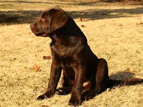 Фото Приключения Пирамуса