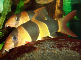 Смотреть фото Чего нельзя делать в зоопарке и почему Фото Чего нельзя делать в зоопарке и почему